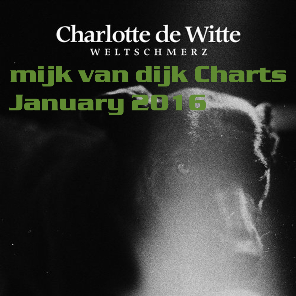 Mijk van Dijk DJ Charts January 2016