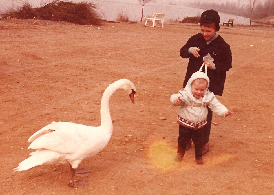 Over 40 years ago I tried to feed my little brother to the swans, but luckily …