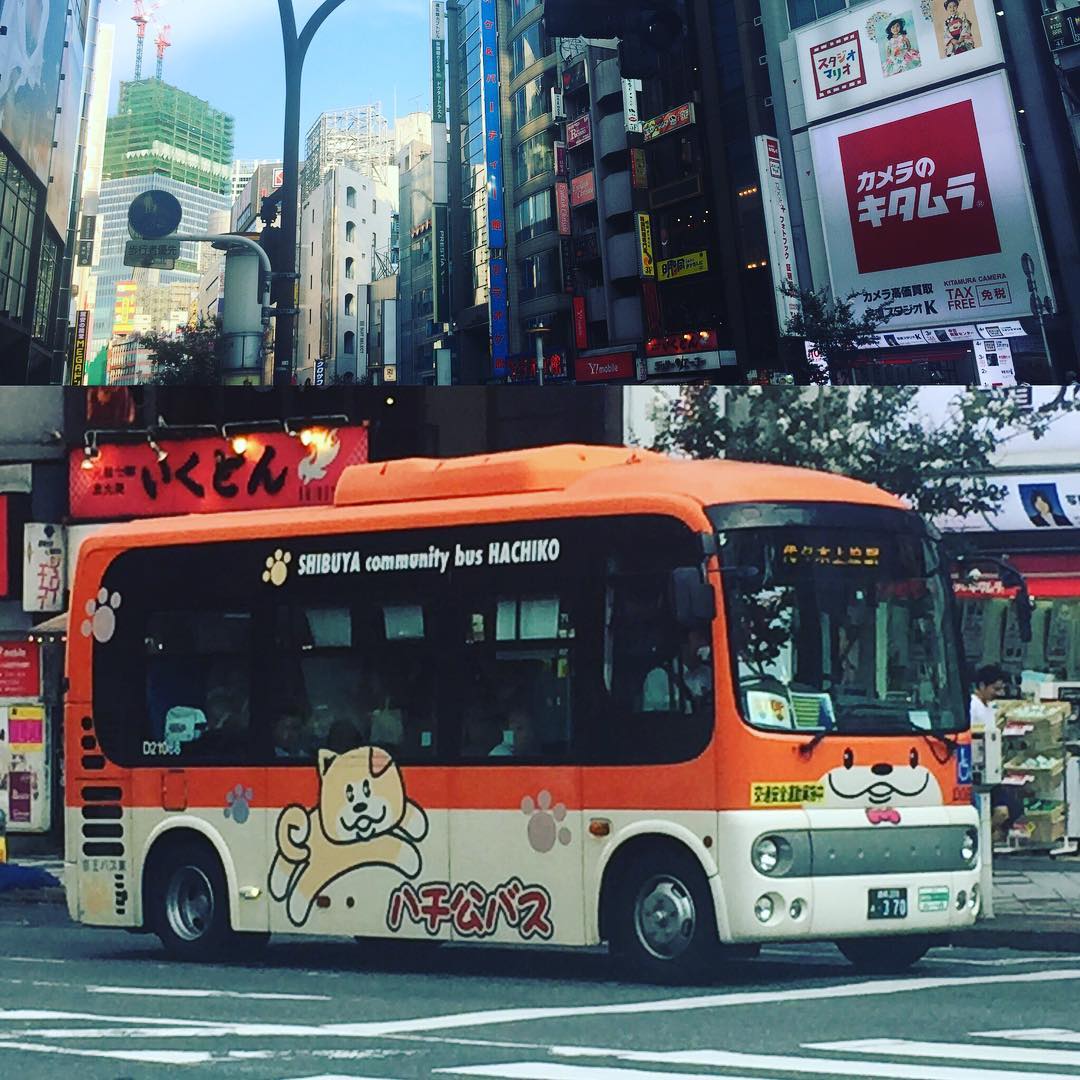 Gotta love Shibuya Hachiko Bus! 🇯🇵❤️🐶