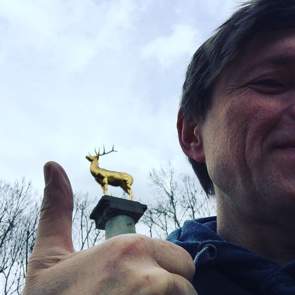 Meet the golden deer 🦌 of