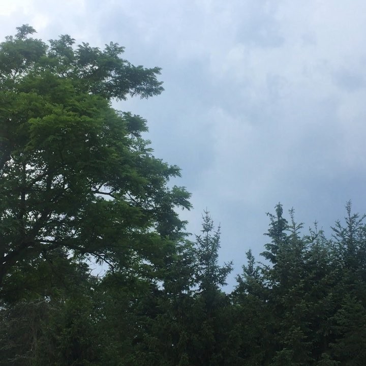 Birds in the air, kids at the lake, thunderstorm rumbling from the distance …
