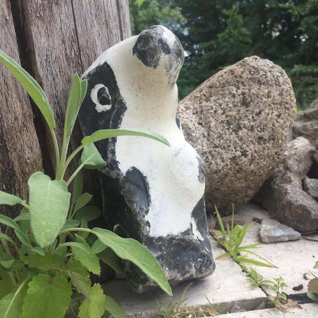 For some this is just another stone. For me it’s a #cute little #badger …