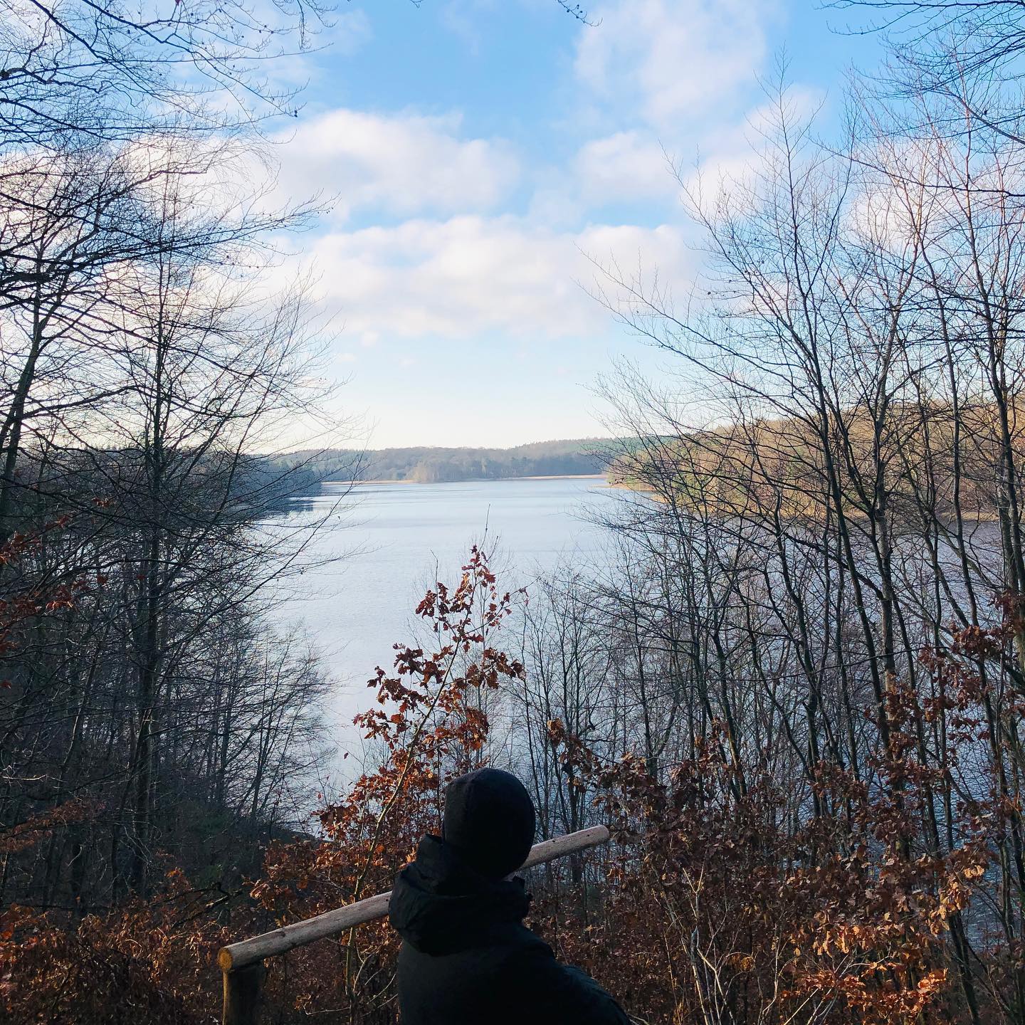 #augustablick walk at scenic