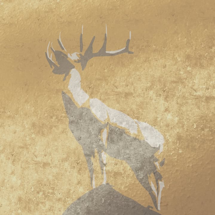 Upcoming…… stay tuned….