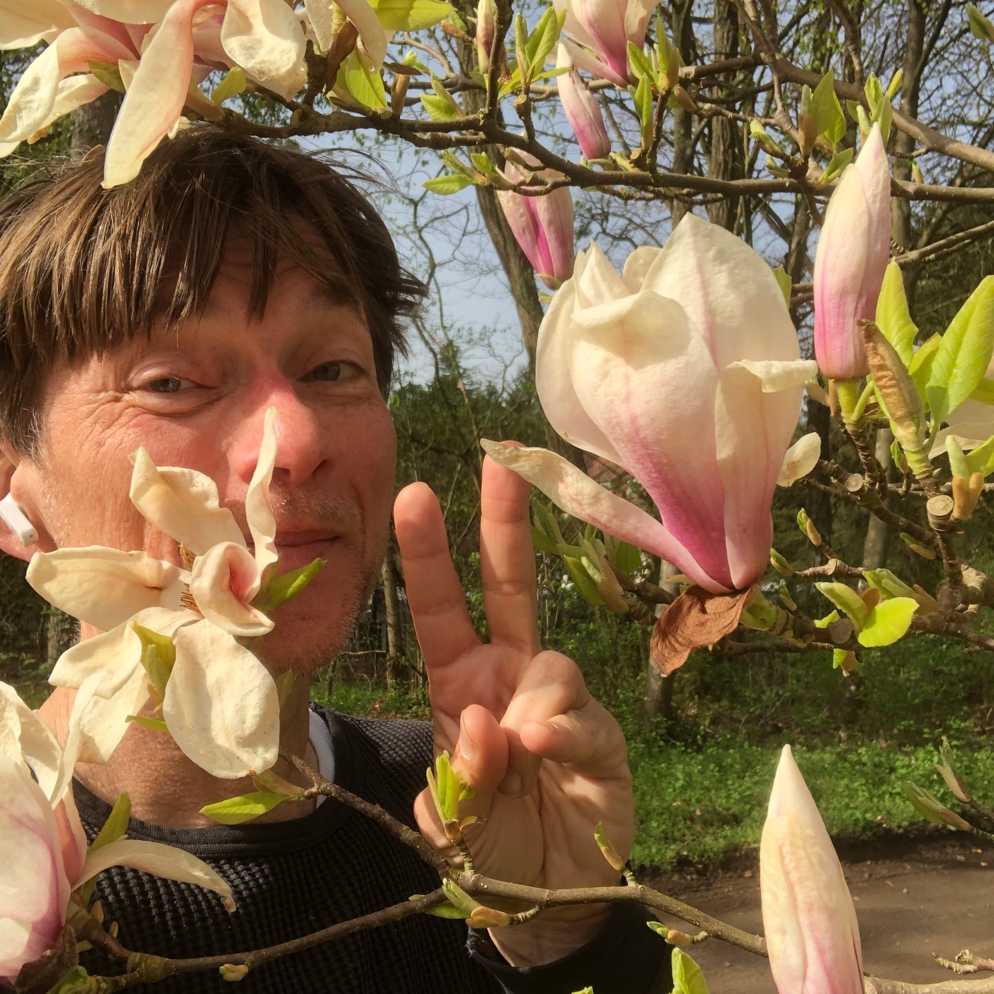 Springtime Greetings on the run