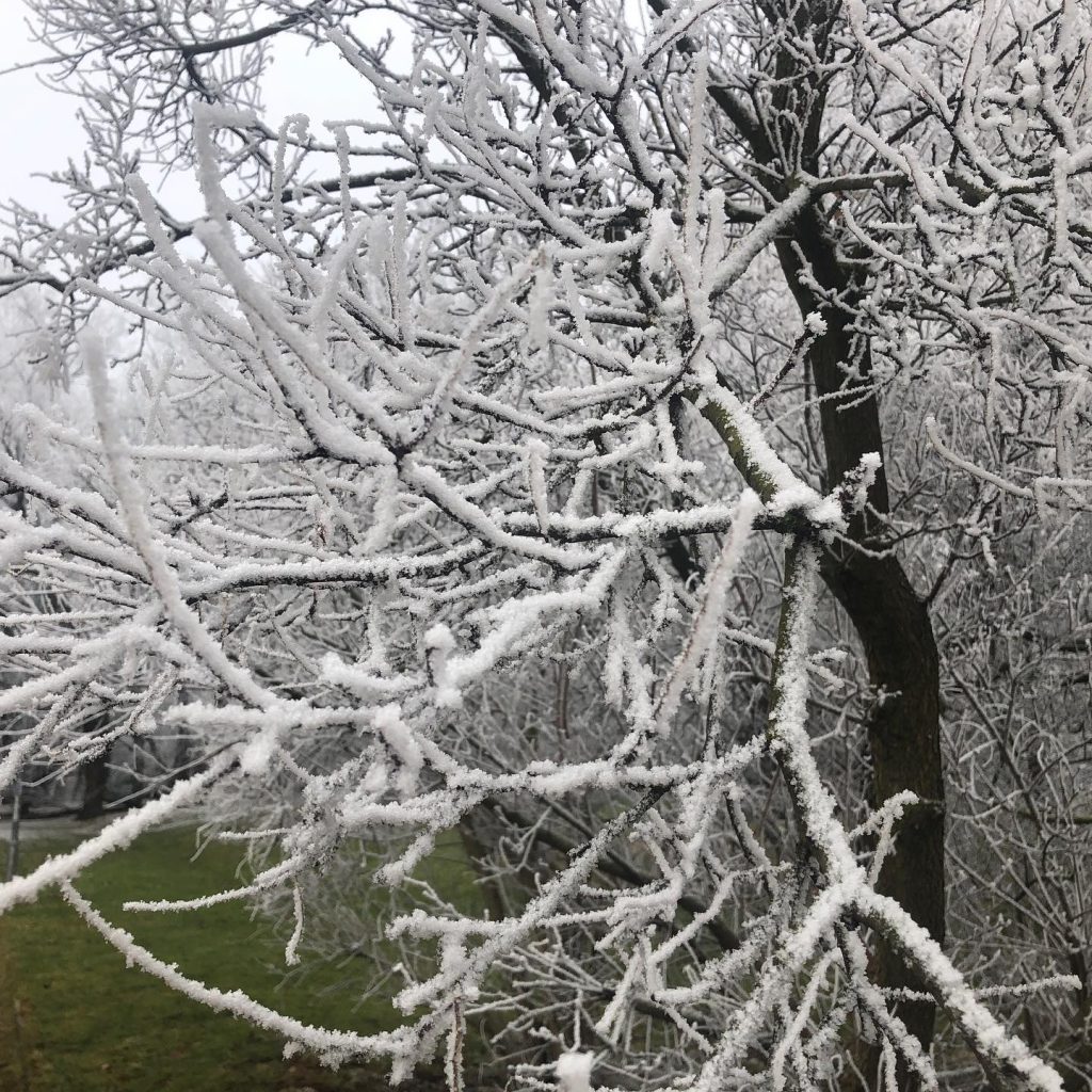 Some winter magic in Braunschweig. Thank you all who danced with me at …