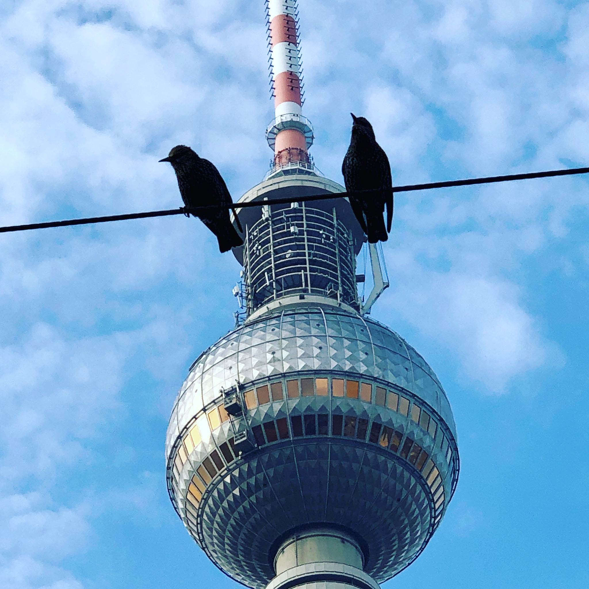 Zwei Vögel aus Berlin freuen sich auf die @elektrovoegel in Bayreuth. Noch 10 …