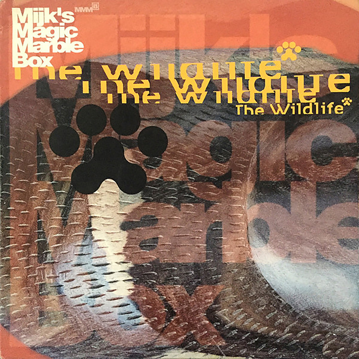 Spring – The Wildlife